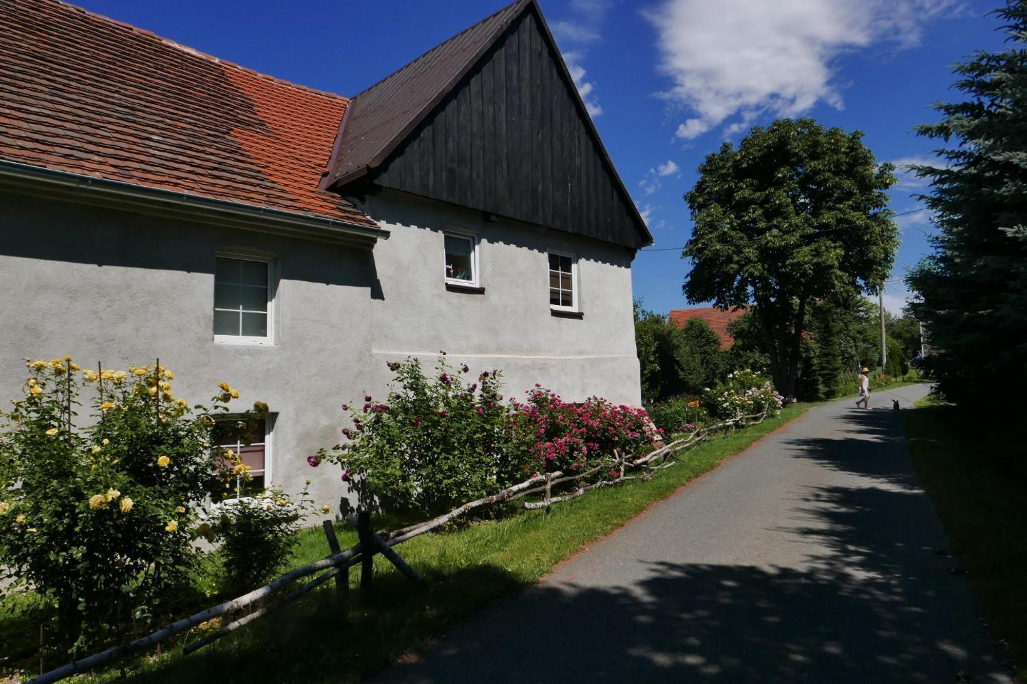 Roze I Jablonie Agroturystyka Gryfow Slaski Exterior photo