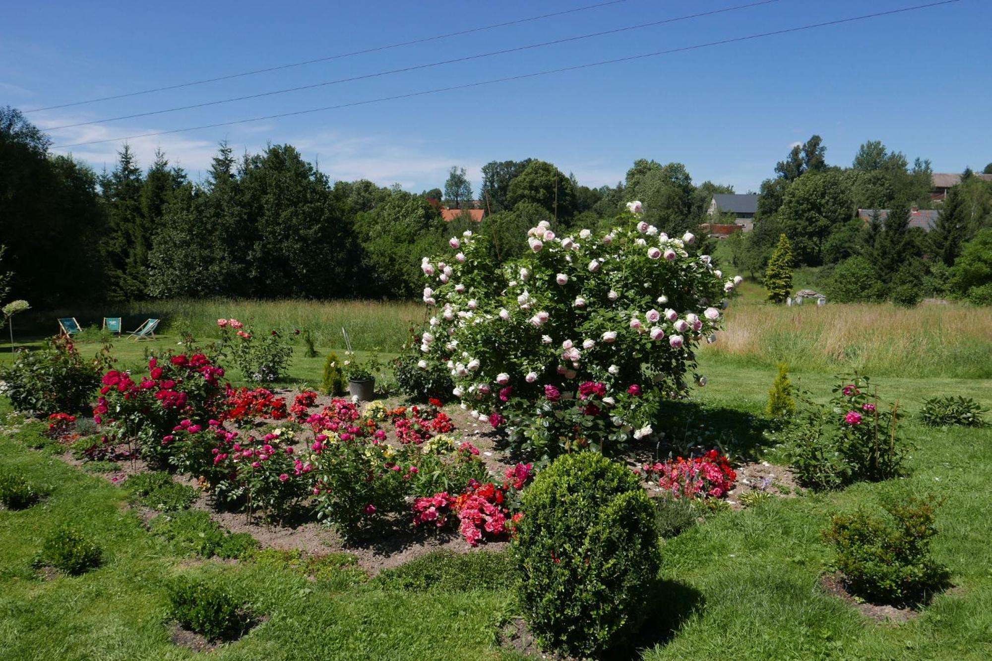 Roze I Jablonie Agroturystyka Gryfow Slaski Exterior photo