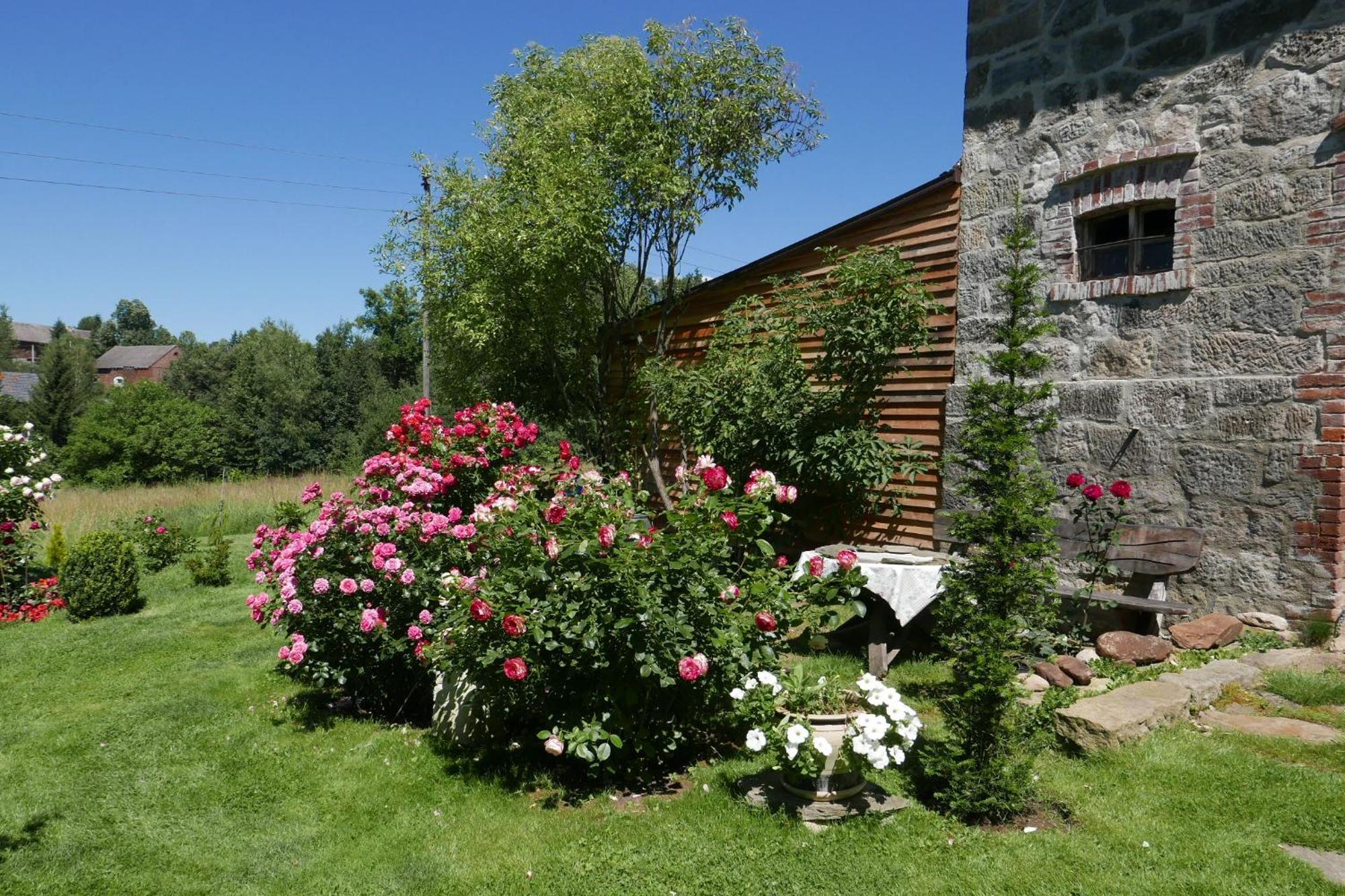 Roze I Jablonie Agroturystyka Gryfow Slaski Exterior photo