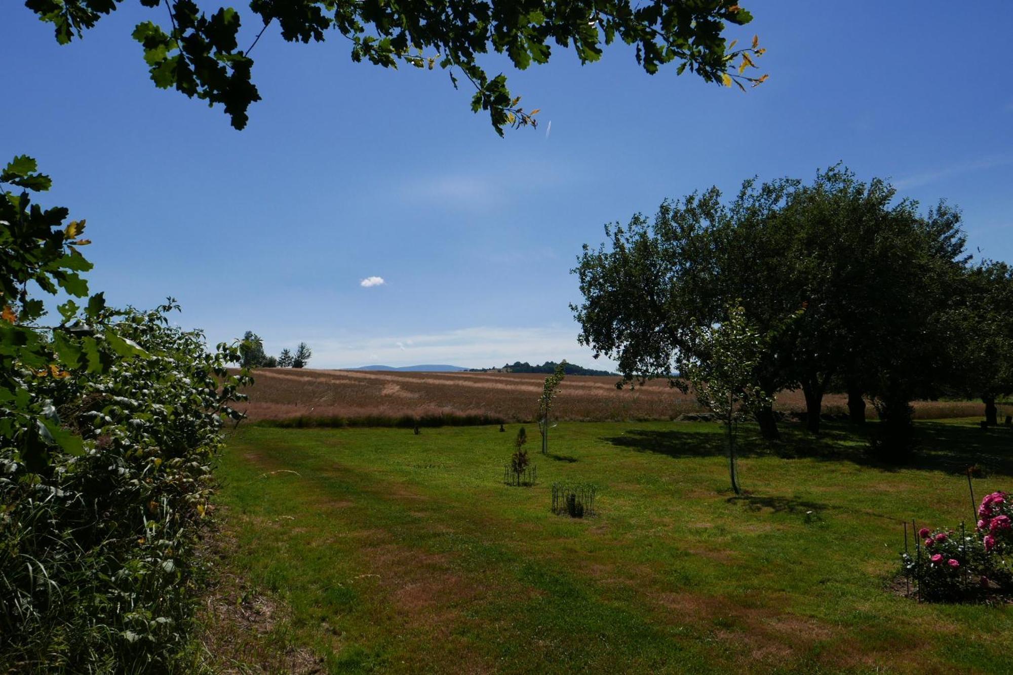 Roze I Jablonie Agroturystyka Gryfow Slaski Exterior photo